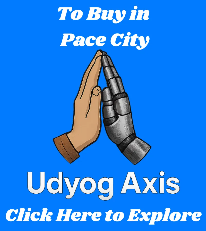 Buy in Pace City